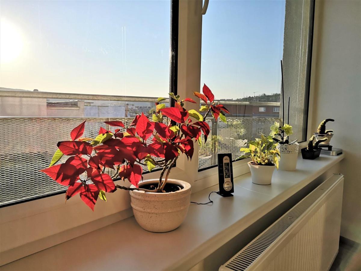 New Apartment With Garage Parking Брно Екстер'єр фото